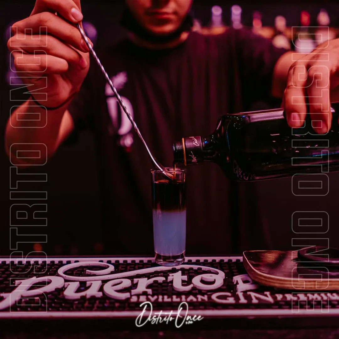 Distrito 11 — Feed — 01